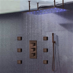LED Shower Light